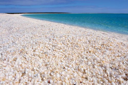shell-beach-shark-bay-western-australia.ngsversion.1484776809295.adapt.885.1